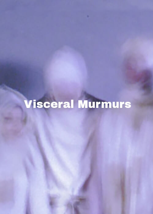 Visceral Murmurs show poster